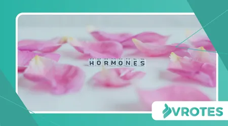 How Color Therapy Influences Hormonal Balance