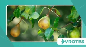 Mineral Depletion in Modern Soil and Its Nutritional Fallout