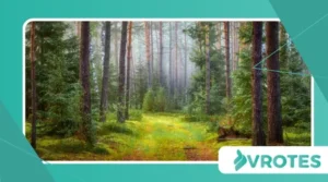 Emotional Wellness and the Science of Nervous Safety