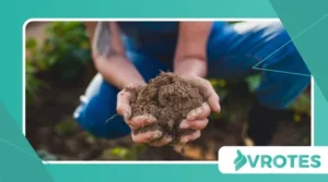 The Rise of Regenerative Farming and Its Nutritional Impact