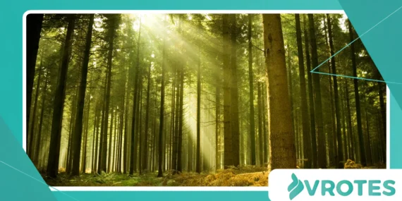 Transformative Visualization Techniques for Menopause Strength