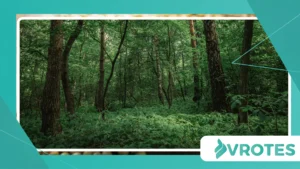 Why Forest Microbreaks Improve Daily Mental Wellness